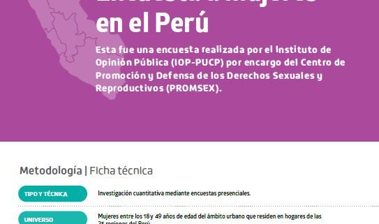 Portada de "El aborto en cifras: encuesta a mujeres en el Perú"