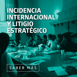 Incidencia internacional y litigio estratégico: sala de reuniones de personas debatiendo y botón de saber más