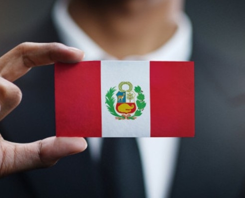 Una persona con una bandera del Perú hecha de papel en la mano