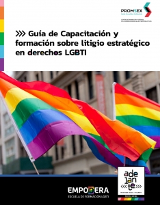 Portada de la Guía de Capacitación y formación sobre litigio estratégico en derechos LGBTI. Imágenes de banderas LGBTI