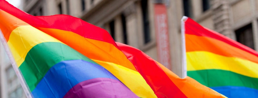 Portada de la Guía de Capacitación y formación sobre litigio estratégico en derechos LGBTI. Imágenes de banderas LGBTI