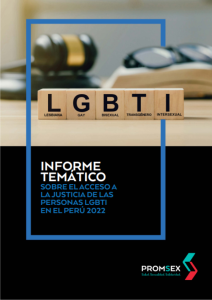 Portada de "LGBTI, informe tematico"